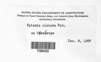 Image Associated With the Occurence